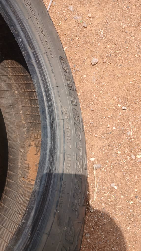 215/60 R17 Dunlop (Metsimotlhabe)