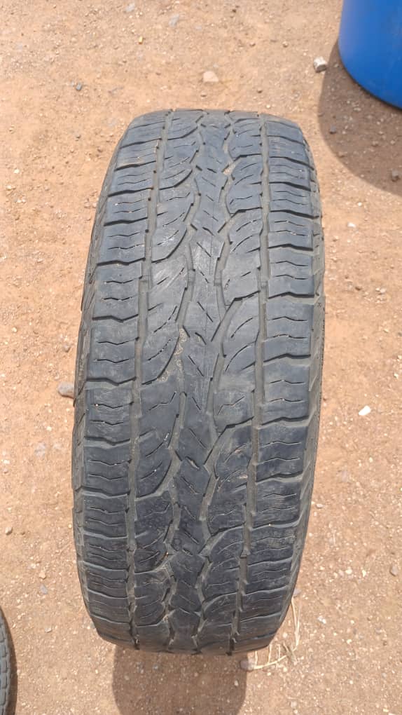 215/60 R17 Dunlop (Metsimotlhabe)