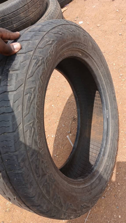 215/60 R17 Dunlop (Metsimotlhabe)
