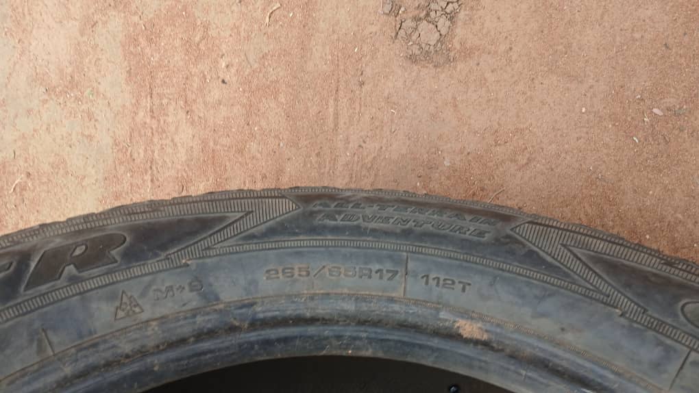 265/65 R17 Goodyear (Gabane Junior Secondary)