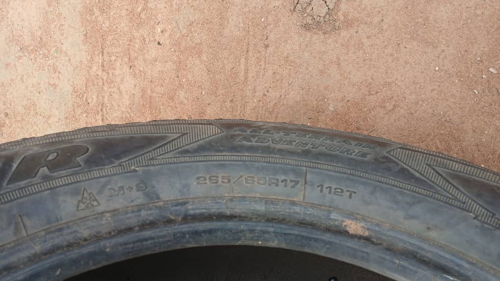 265/65 R17 Goodyear (Gabane Junior Secondary)